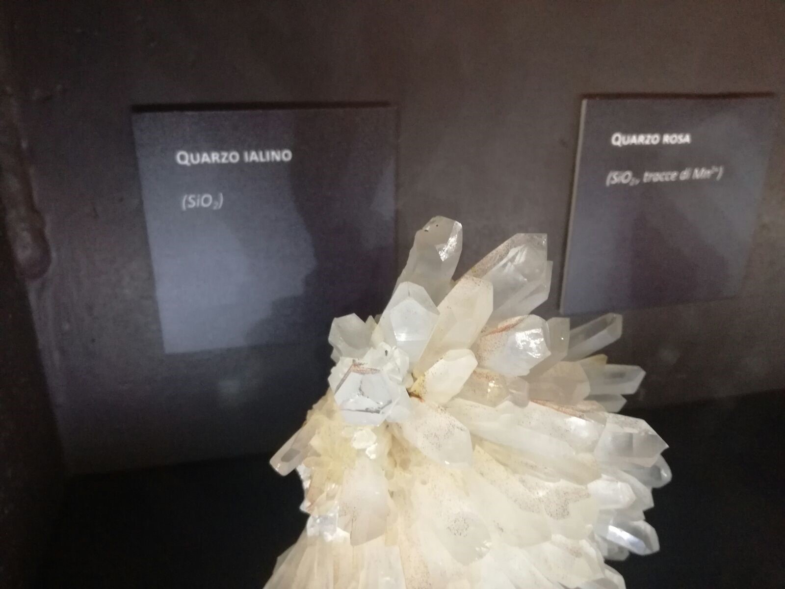 c1