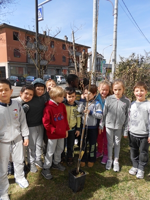 piantumazione2