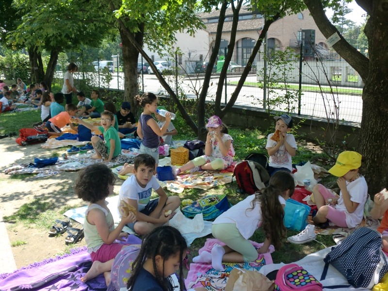 pic nic 1 s