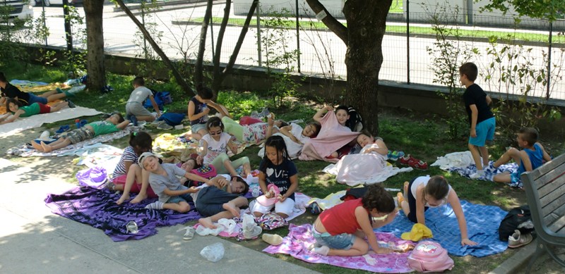 pic nic 2 s