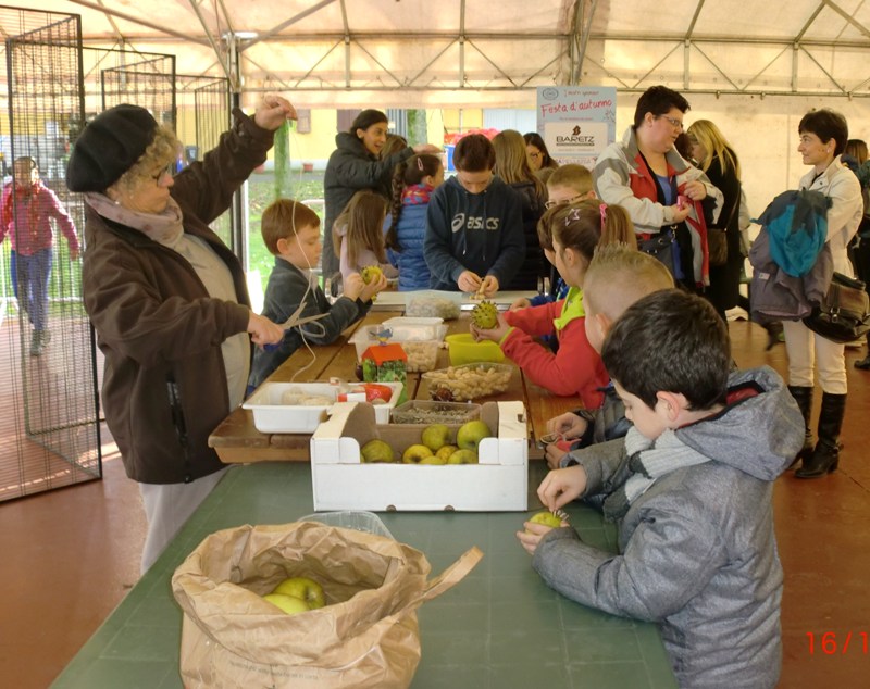 1 cibo uccelli