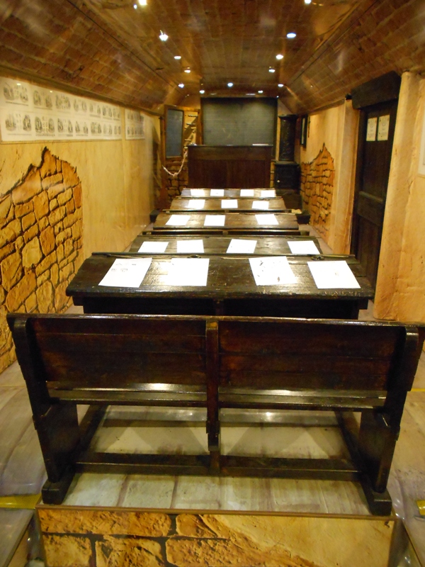 MUSEOBUS 6